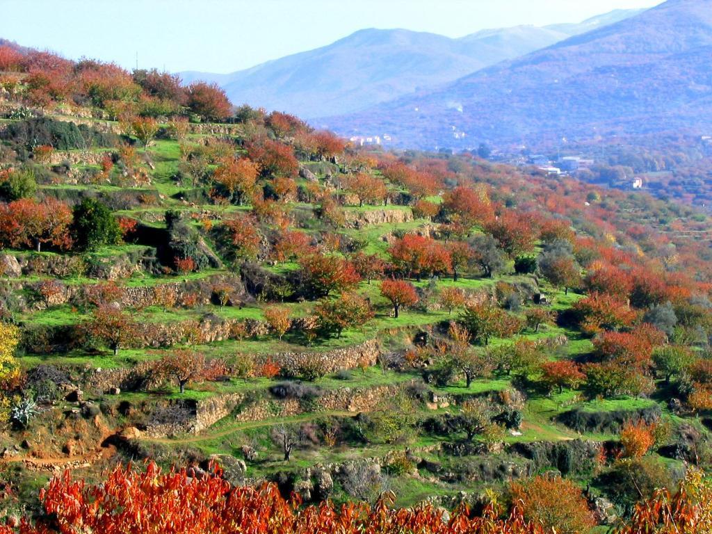Hotel Valle Del Jerte Los Arenales 외부 사진